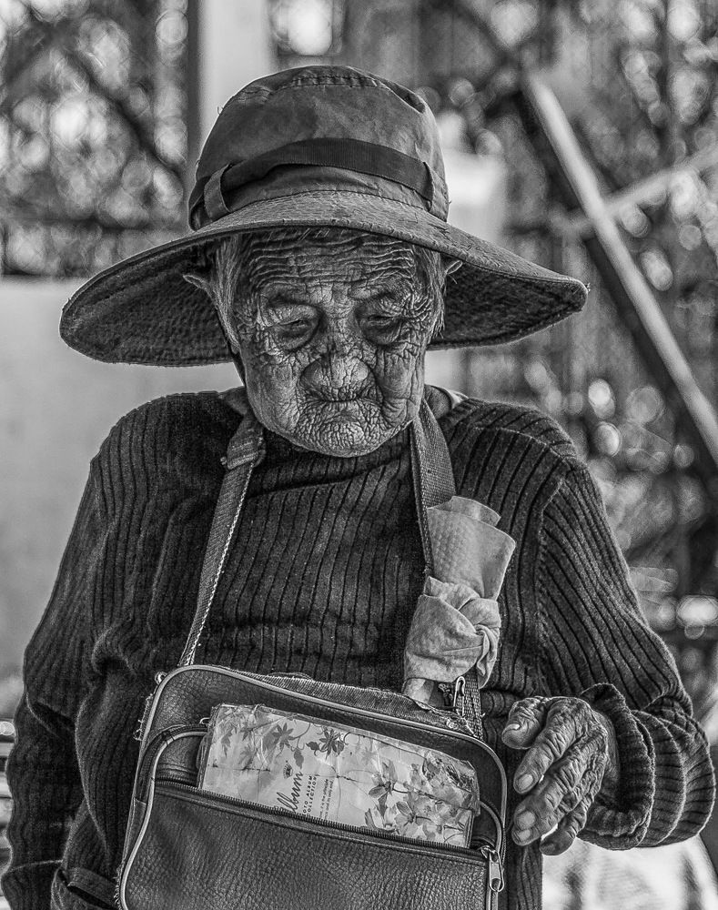 Фотография автора Vuong Bui