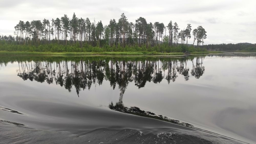 Photograph by Виолетта Клюева