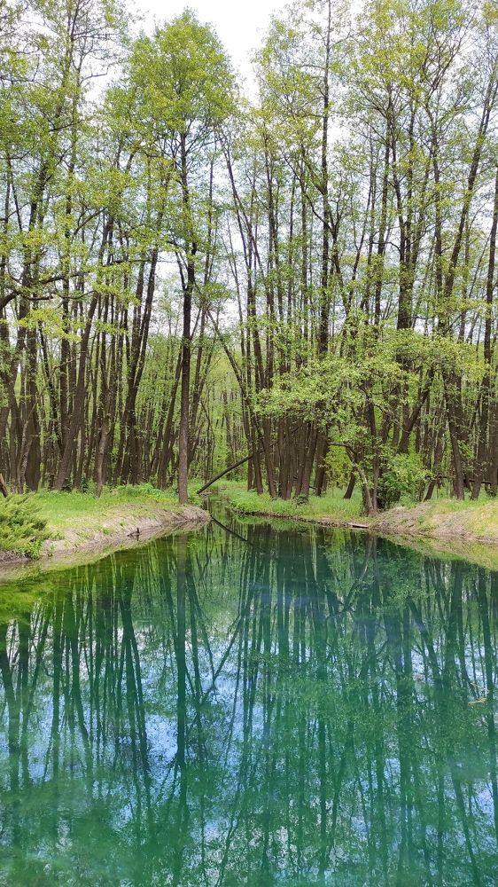 Photograph by Виолетта Клюева