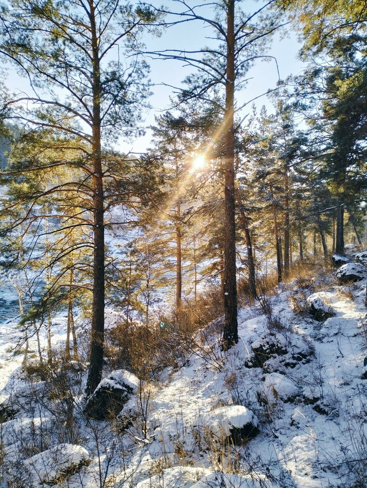 Photograph by Михаил Рогачев