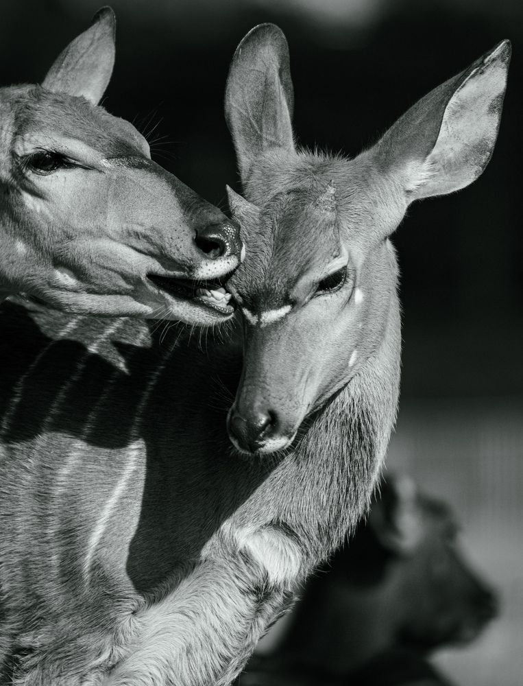 Photograph by Наталья Глинева