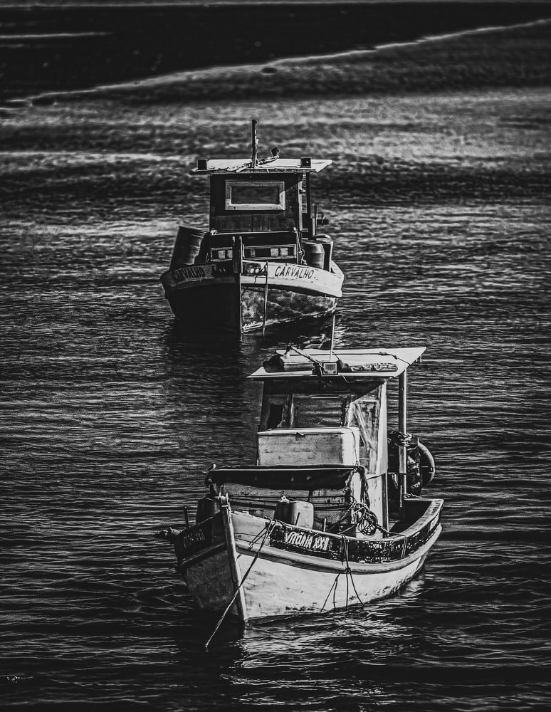 Фотография автора Walfrido Alexandre