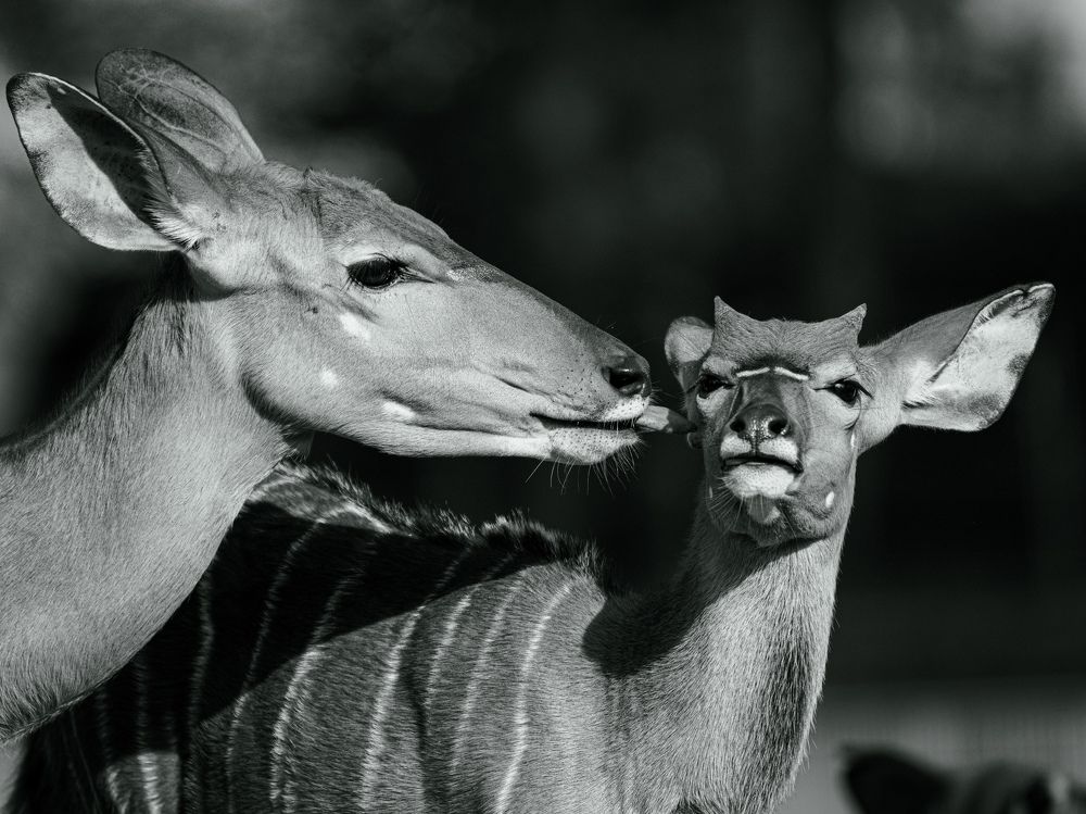 Photograph by Наталья Глинева