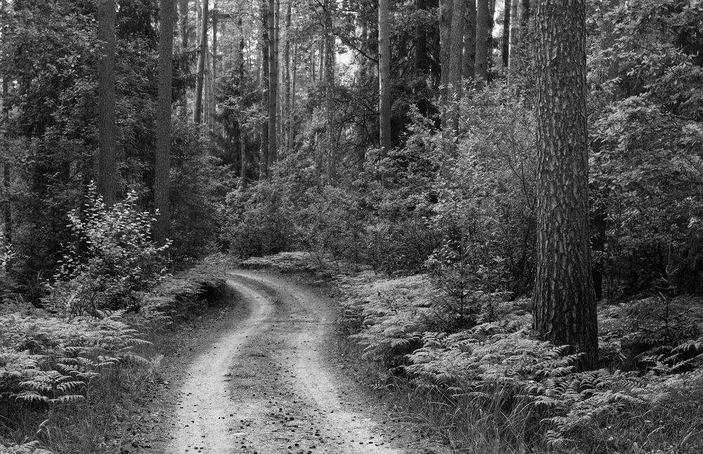 Photograph by Виктор Гурков