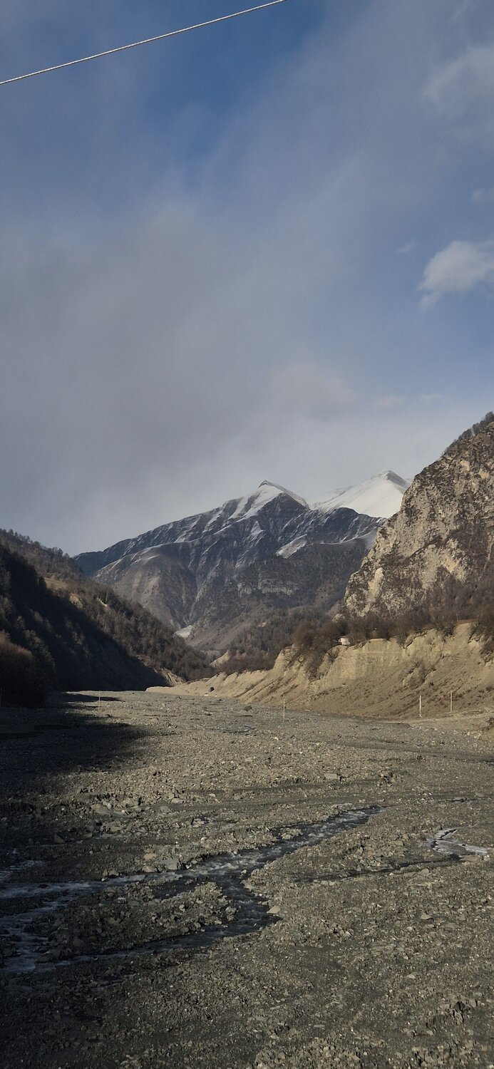 Photo #11525042