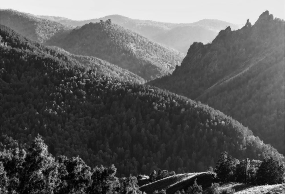 Заповедник "Столбы"