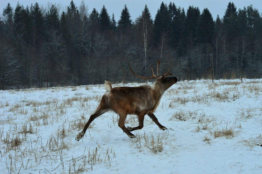Фотография автора Валерий Жданов