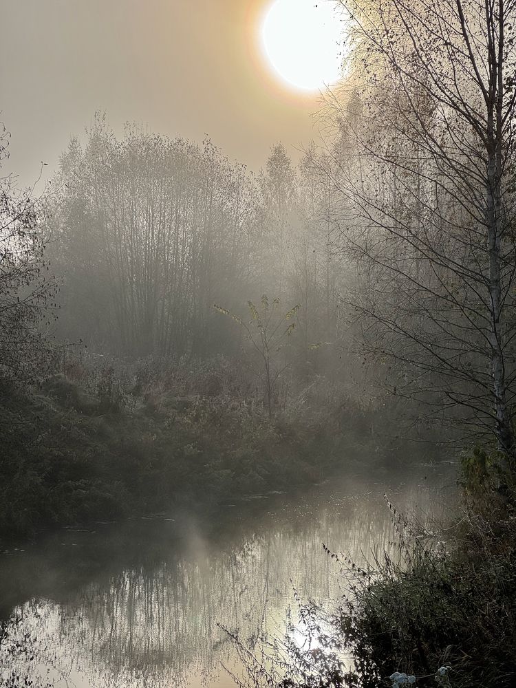 Photograph by Bobro Foto