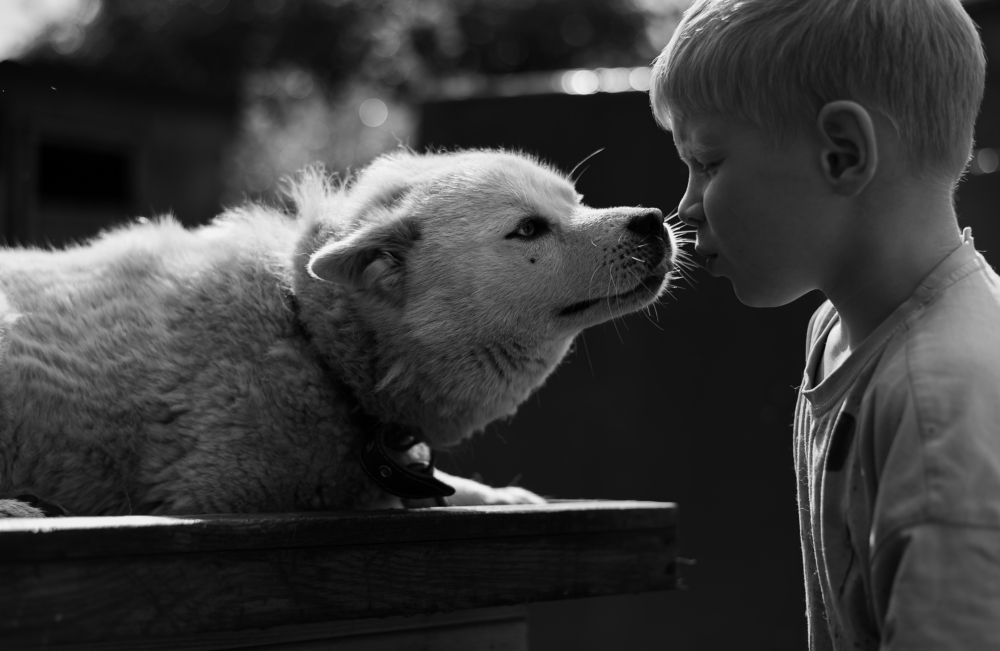 Photograph by Дарья Полиева