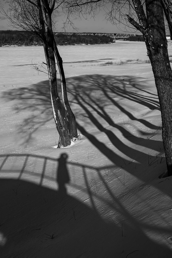 Photograph by Светлана Карнаух