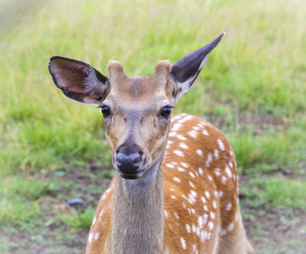 Фотография автора Каргин Валерий