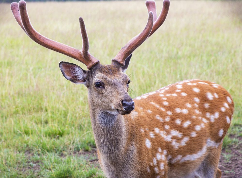 Фотография автора Каргин Валерий