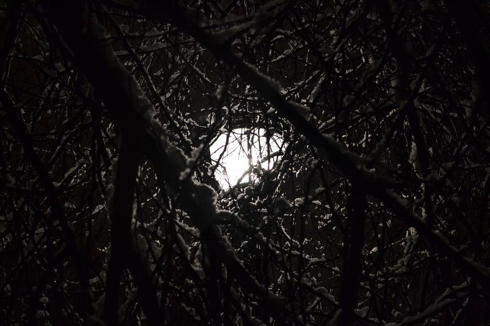 Photograph by GlobaGobla