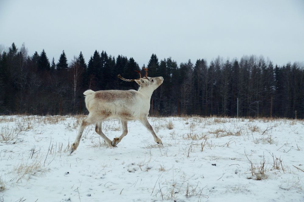 Фотография автора Валерий Жданов