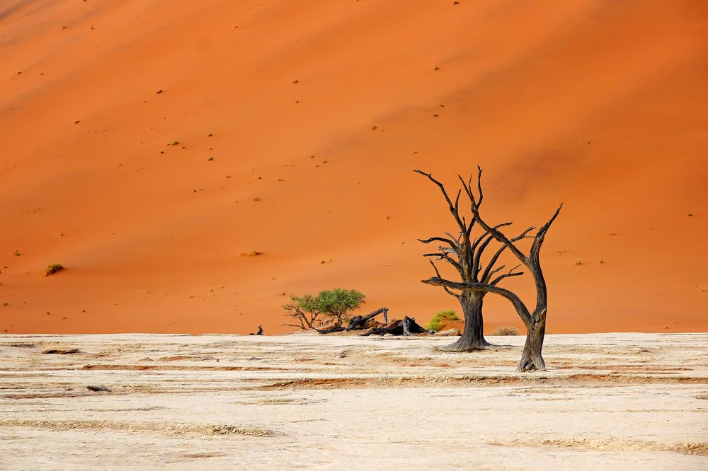 Photograph by Ирина Худзинская