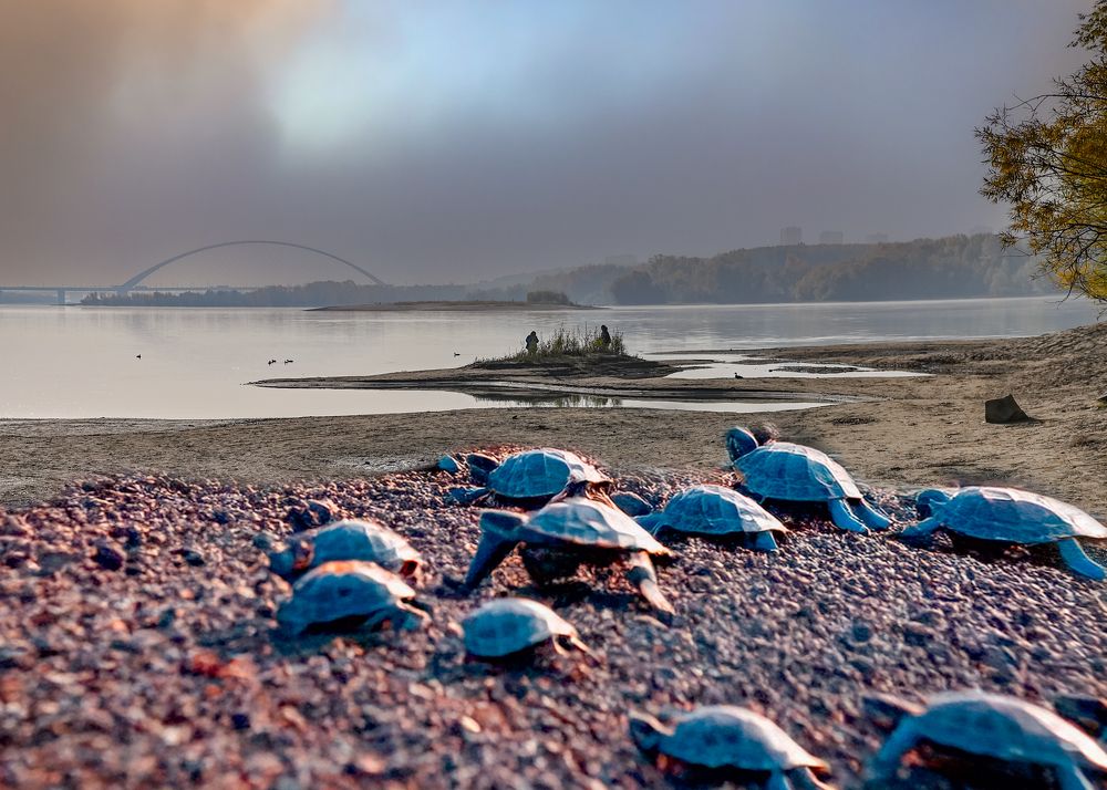 Photograph by Андрей Чернышов