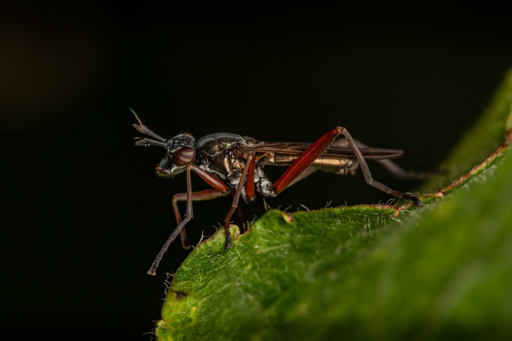 Фотография автора Виталий Сурков