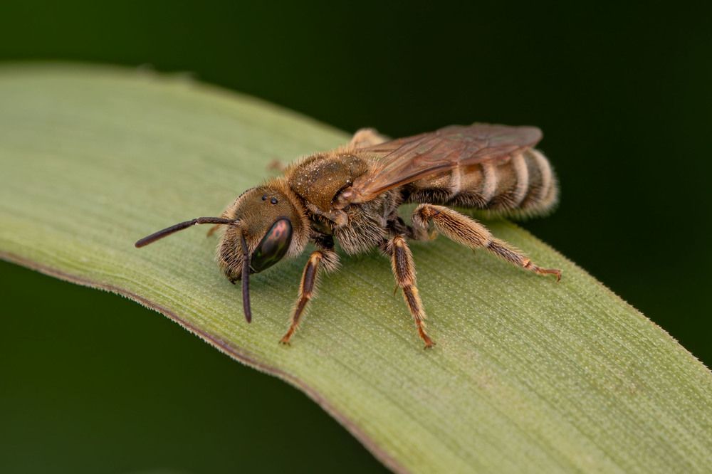 Фотография автора Виталий Сурков