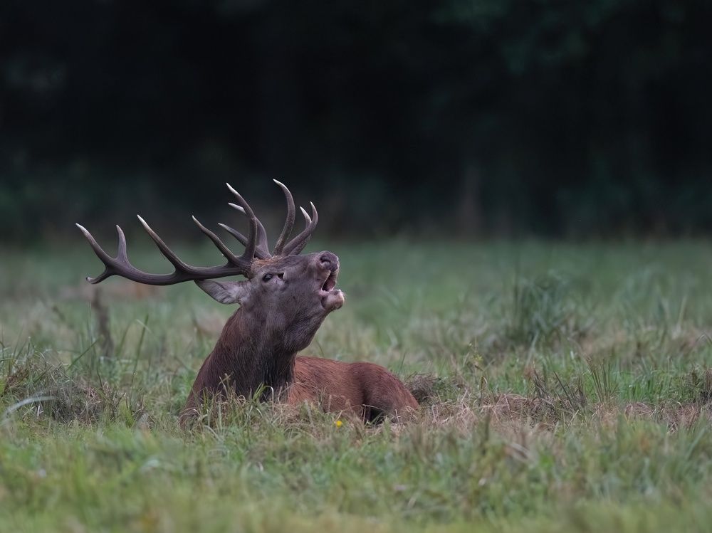 Photograph by Hubert Mielnik