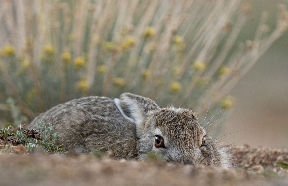 Photograph by Владимир Цветов