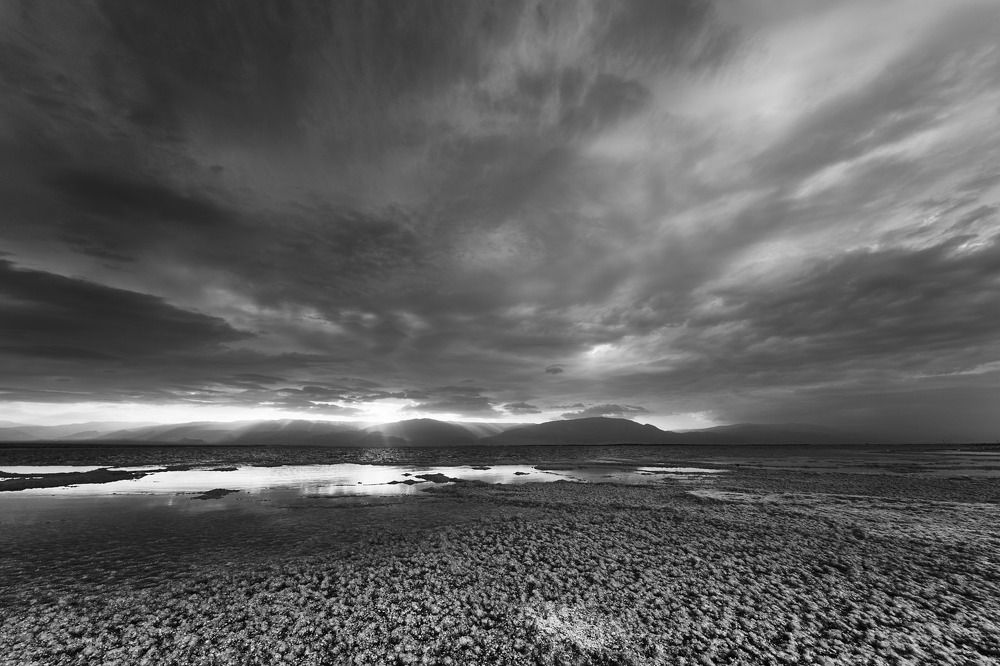 Фотография автора David Solodar