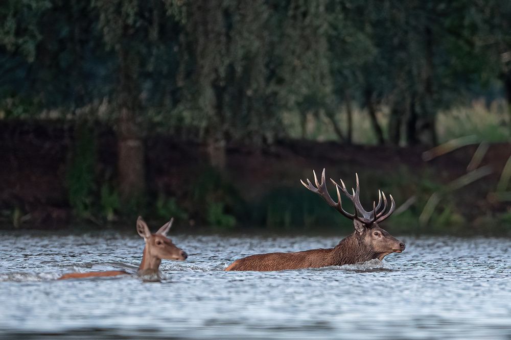 Photograph by Hubert Mielnik