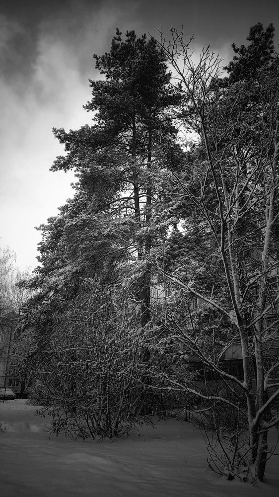 Photograph by Guseva Marina