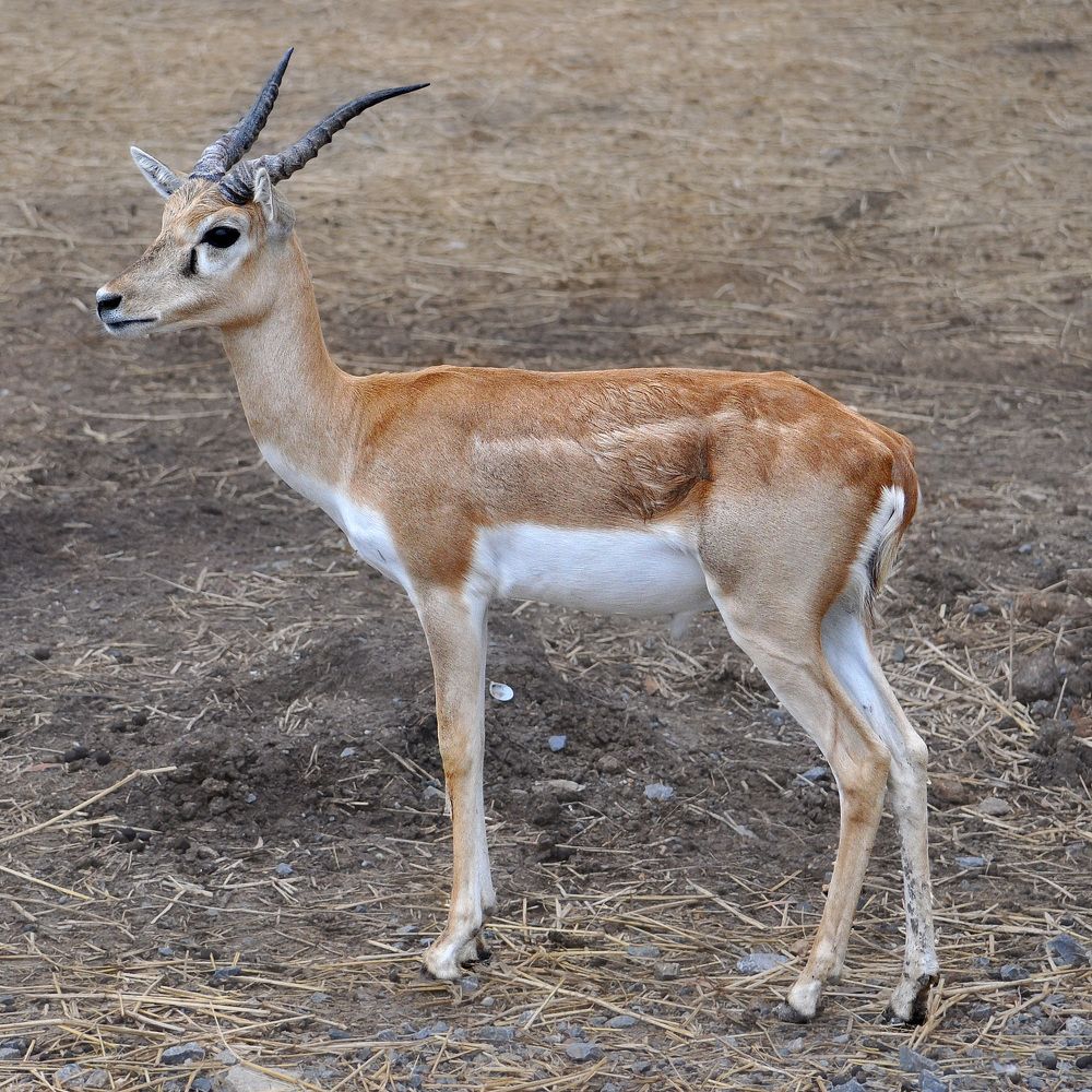 Photograph by Александр Каплан