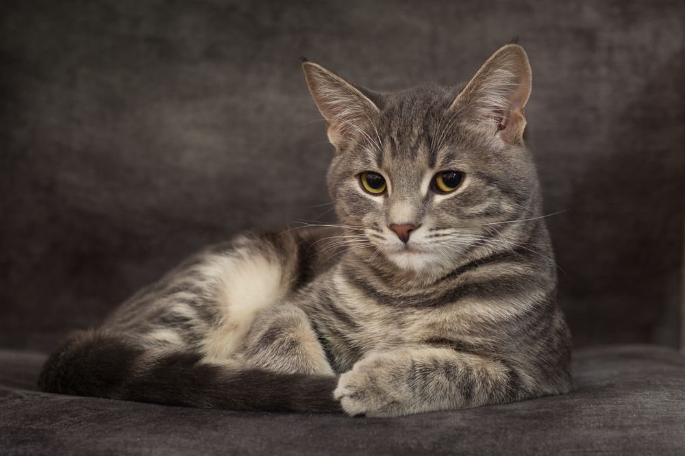 Photograph by Сергей Алексеев