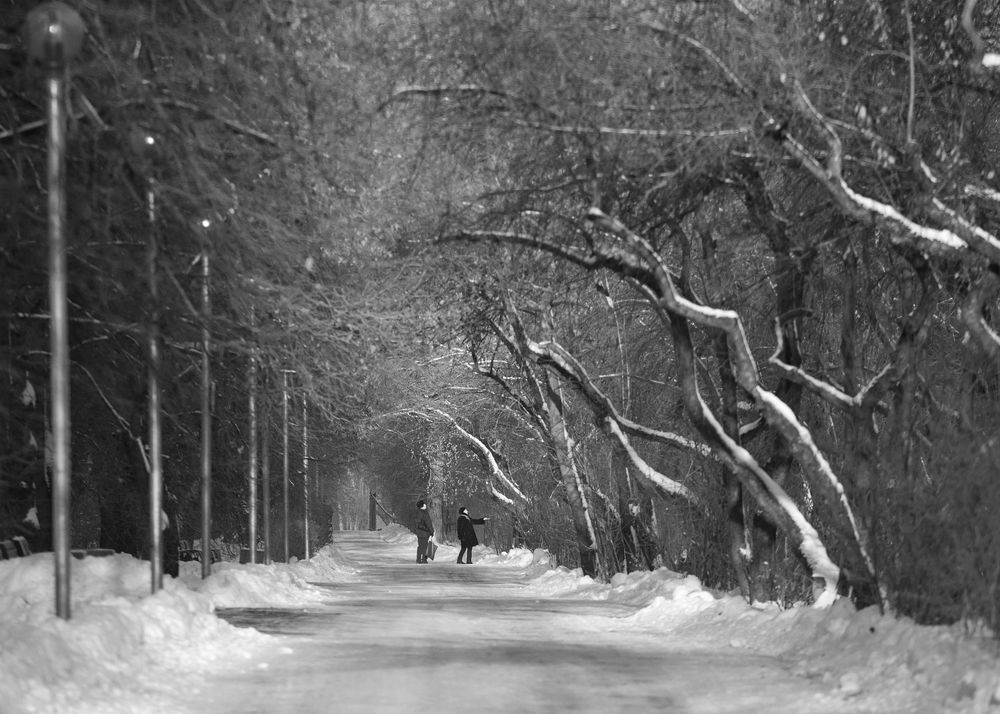 Photograph by Сергей Алексеев