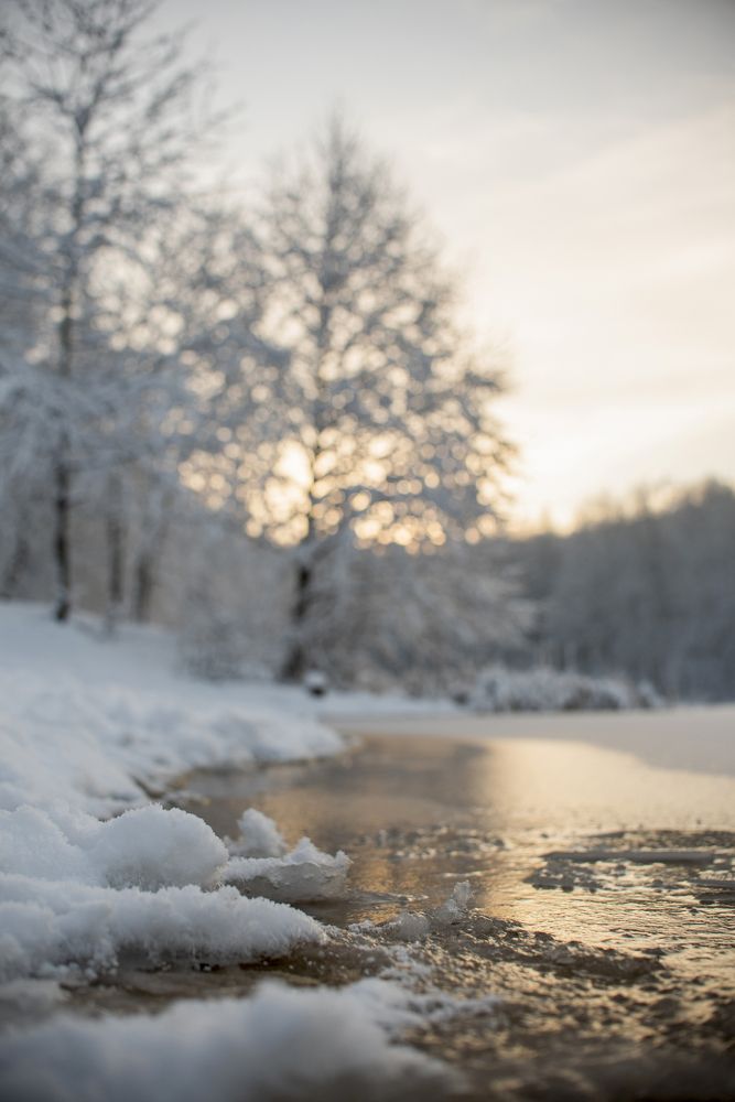 Photograph by Павел Соснин