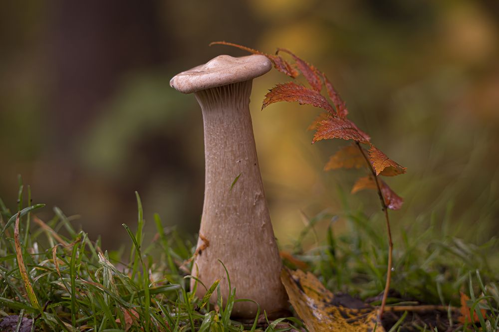 Photograph by Бурикова Екатерина