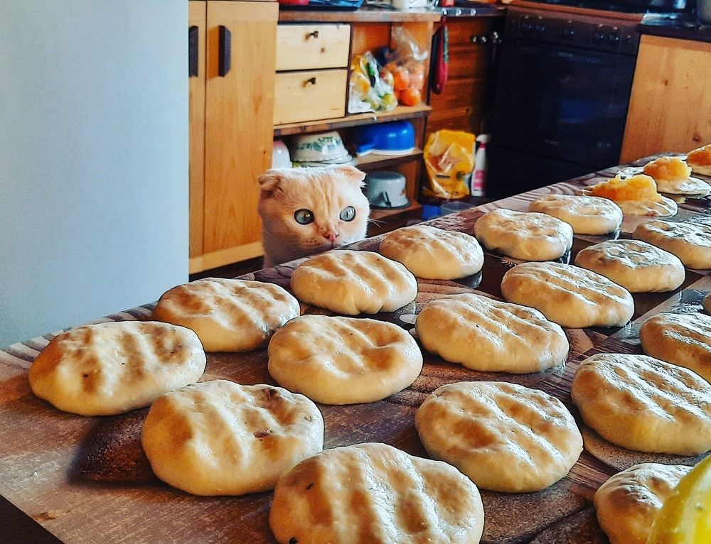 Photograph by Наталья Медовова