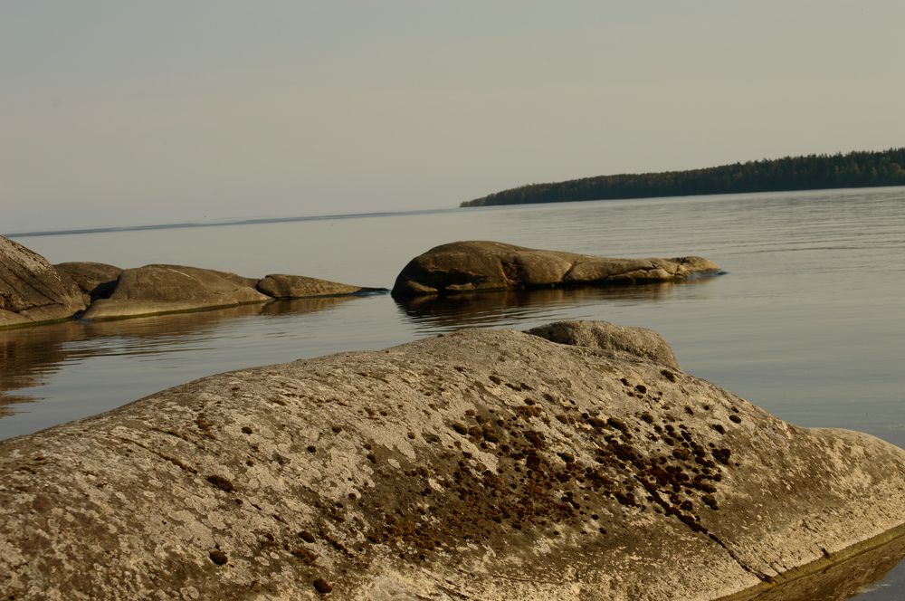 Фотография автора Галина Дорофеева