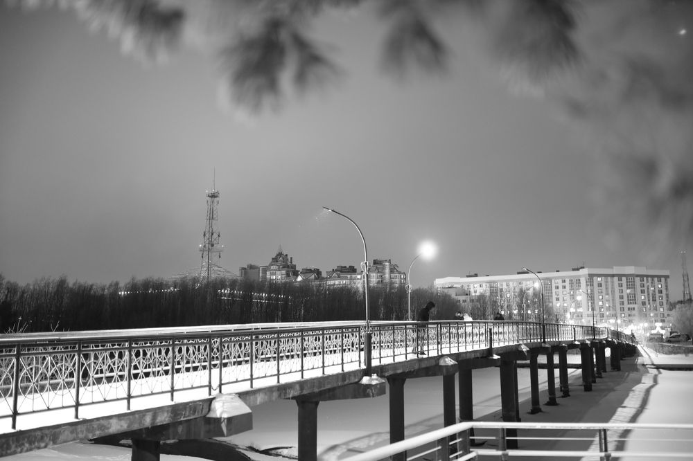 Photograph by Елена Петелина