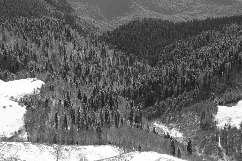 Photograph by Игорь Семеновский