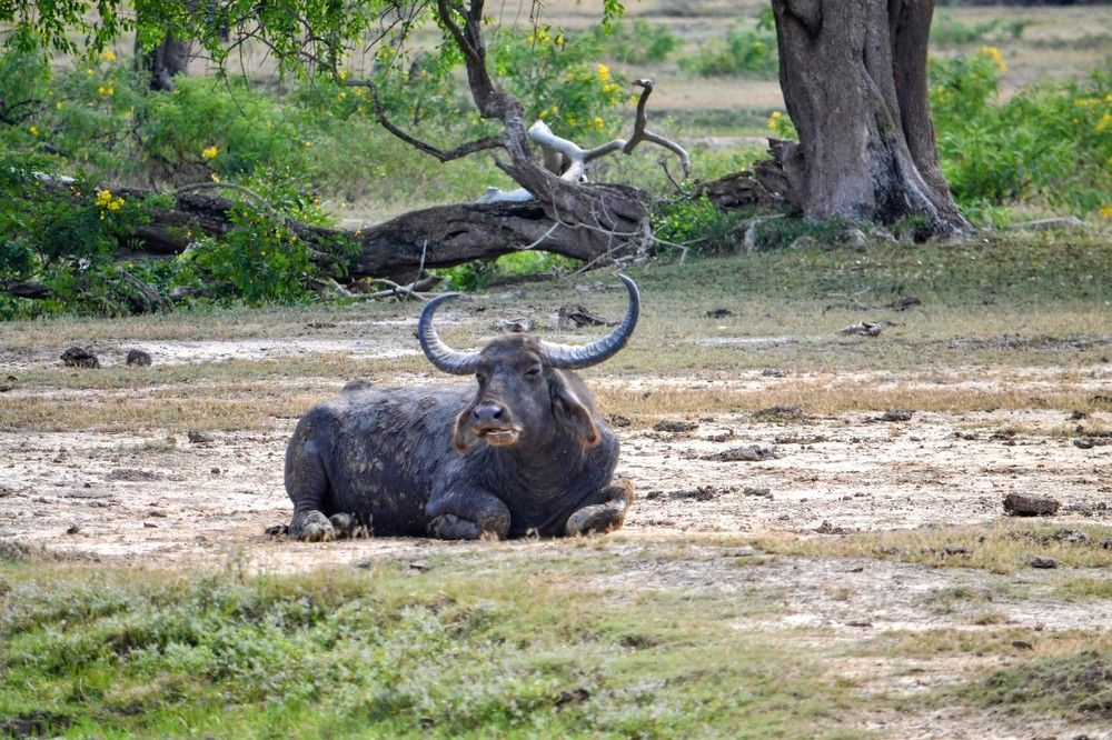 Photograph by Natalya Vasilenko