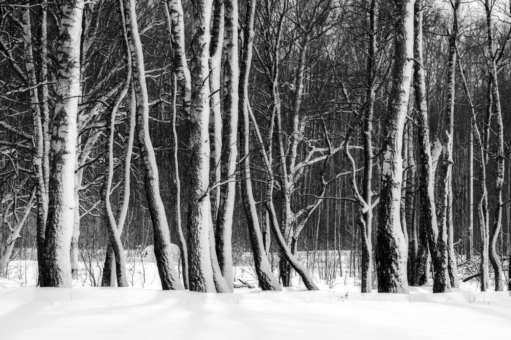 Photograph by Загруев Михаил