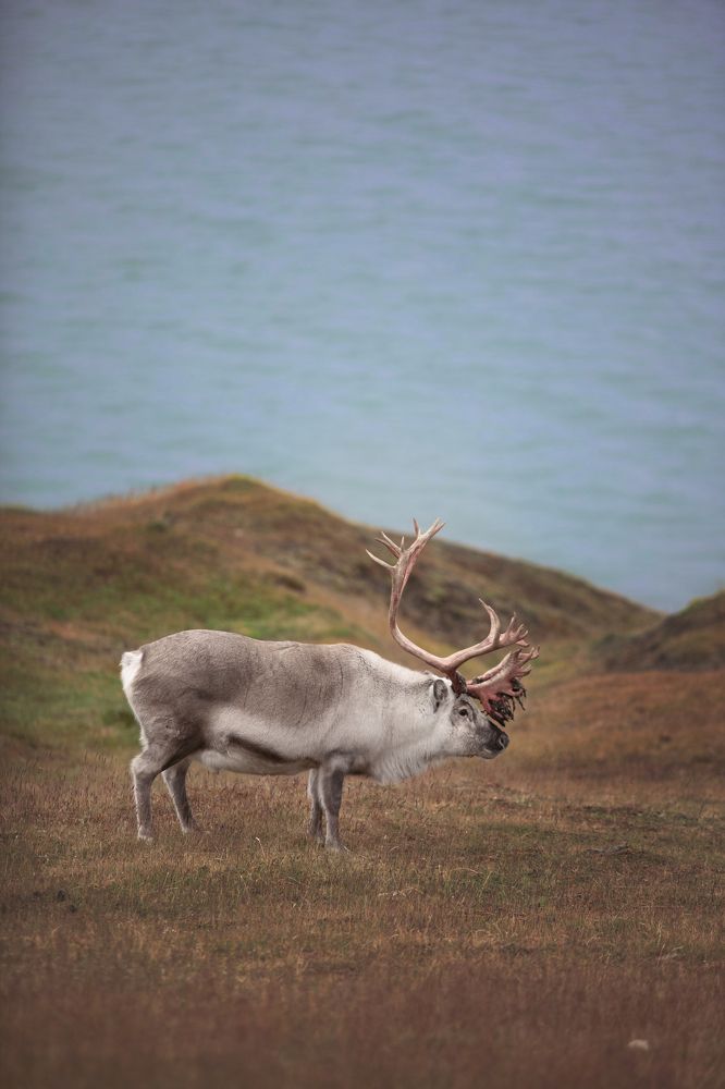 Photograph by Валентина Комарова