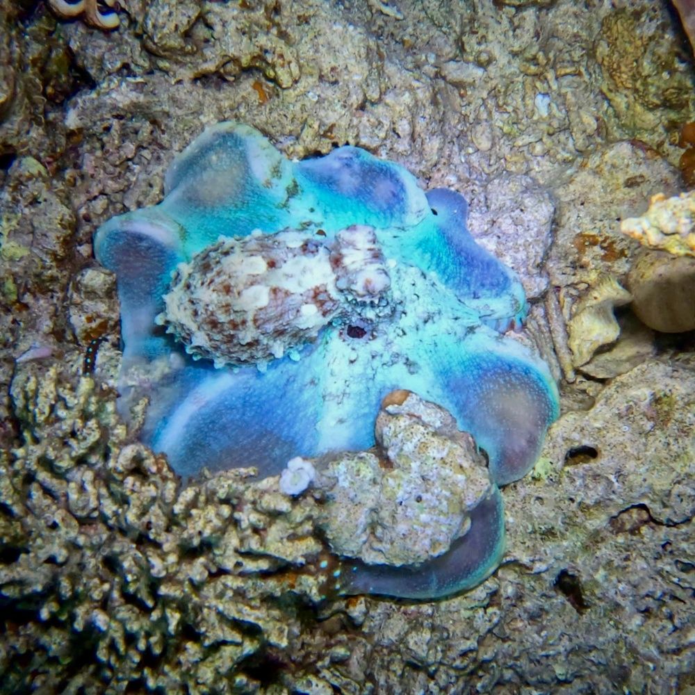 Photograph by Мария Берёзка