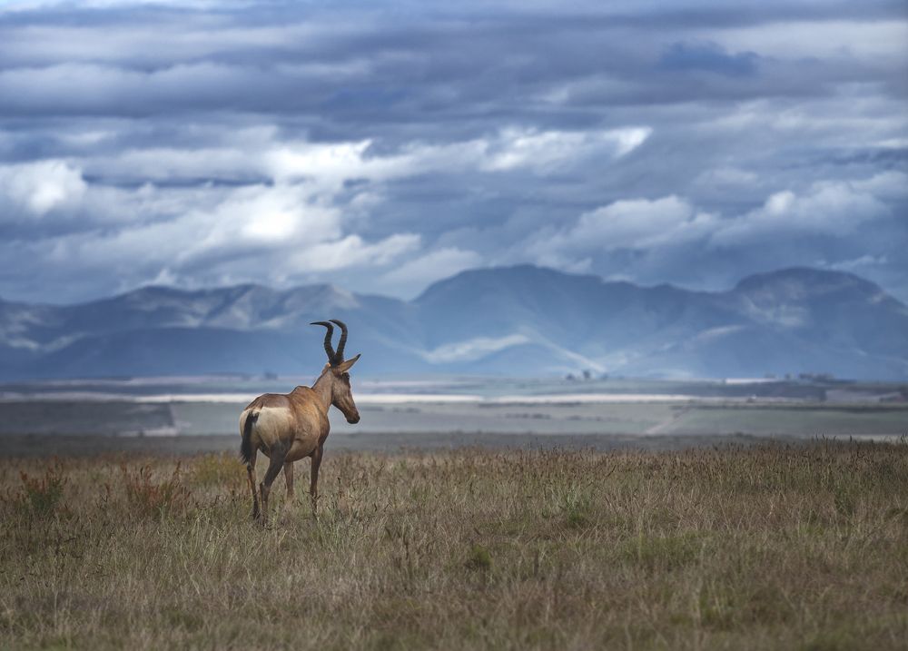 Фотография автора Валентина Комарова