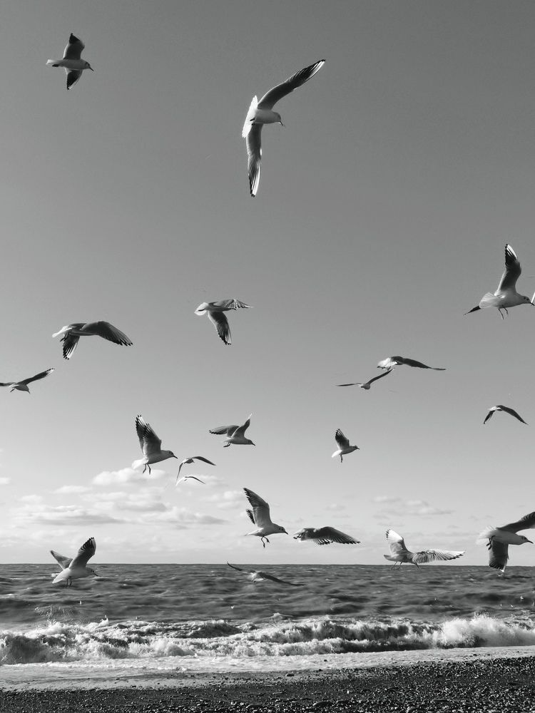 Photograph by Irina Alekseevskaya