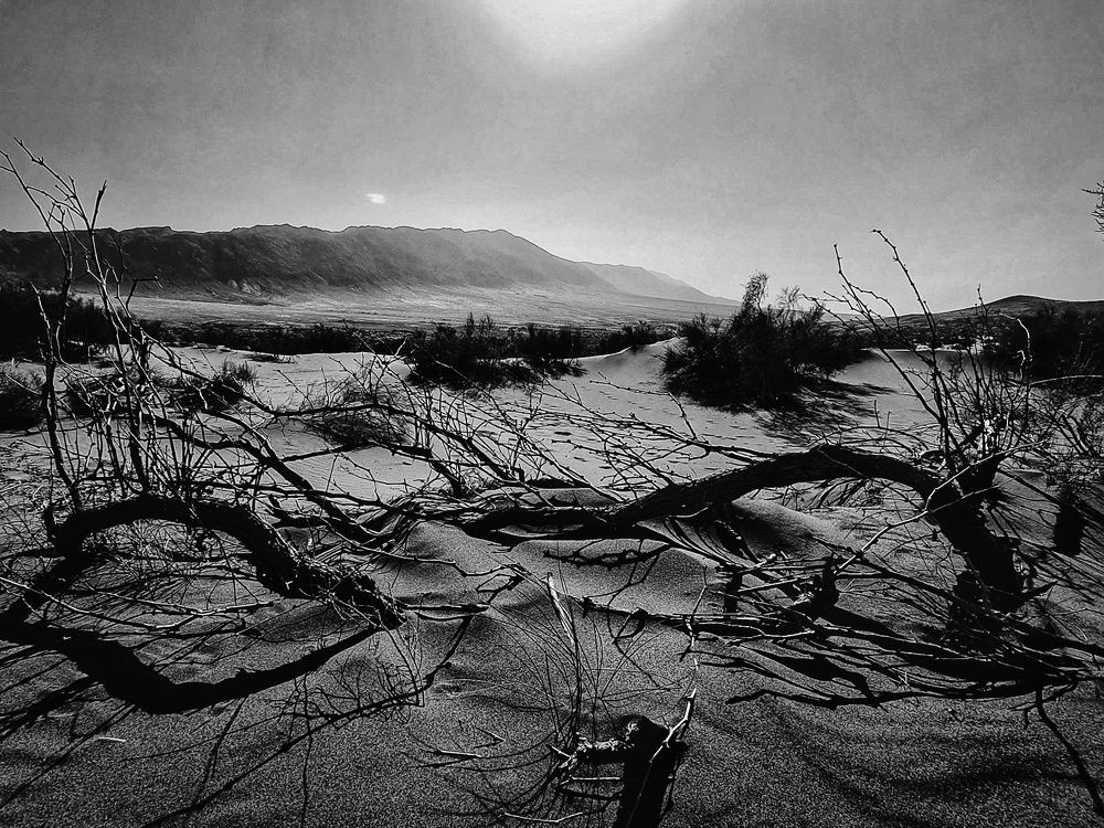 Photograph by Татьяна Соколовская