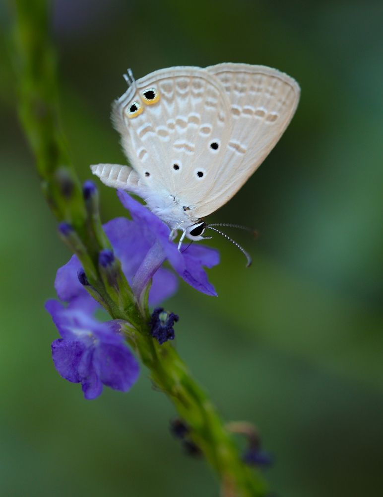 Photograph by Lakshya Sharma
