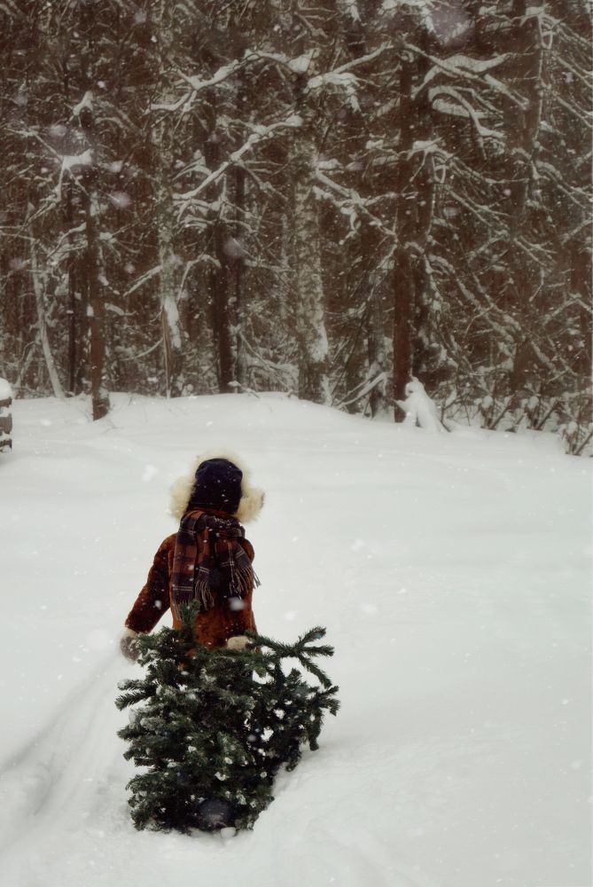 Фотография автора Мария Склюева
