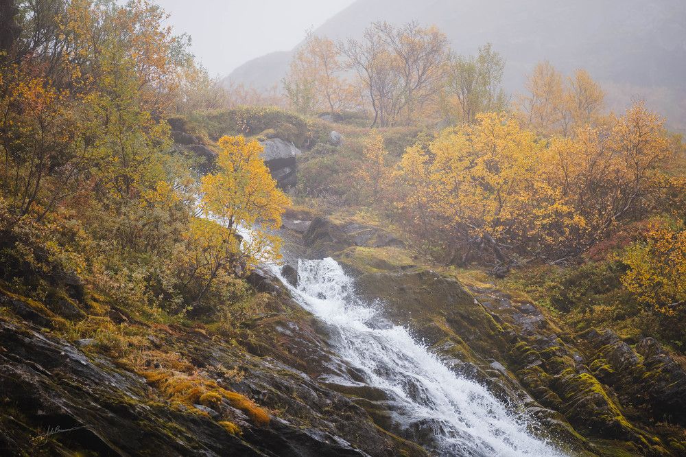 Photograph by Alexandre de Pommereau