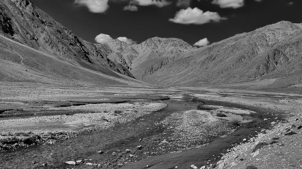 Там листья не растут