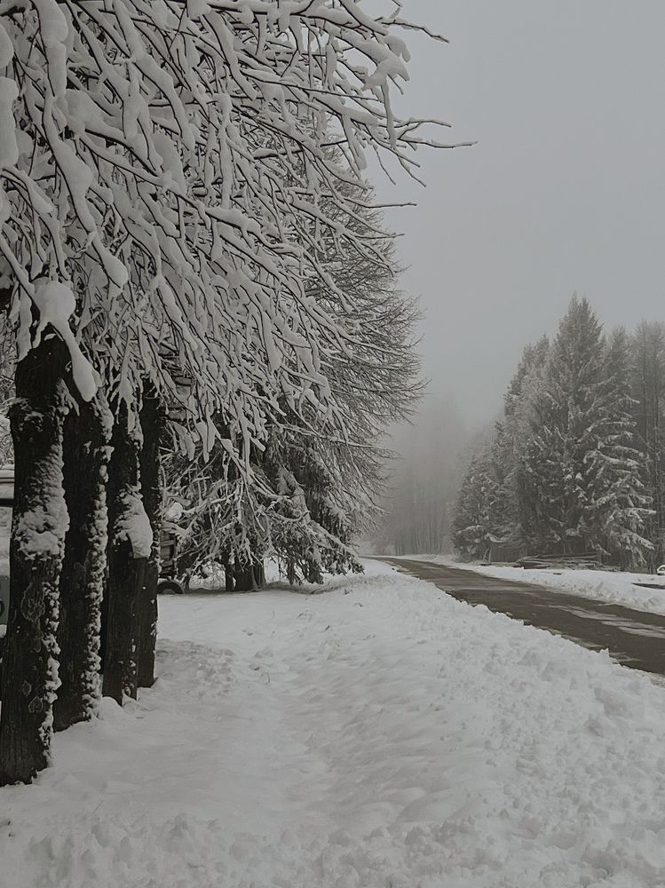 Photograph by Ольга Евграфова