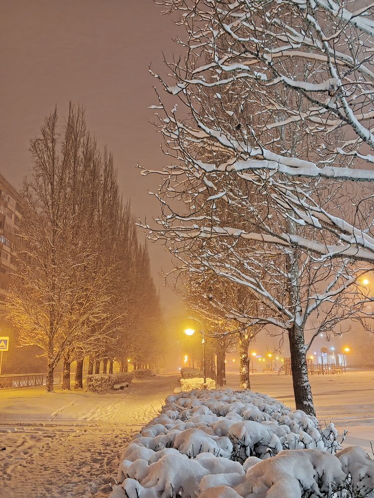 Фотография автора Юрий Звонарев
