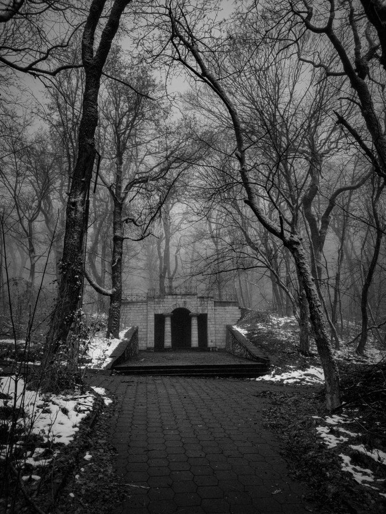 Photograph by Вадим Карпов